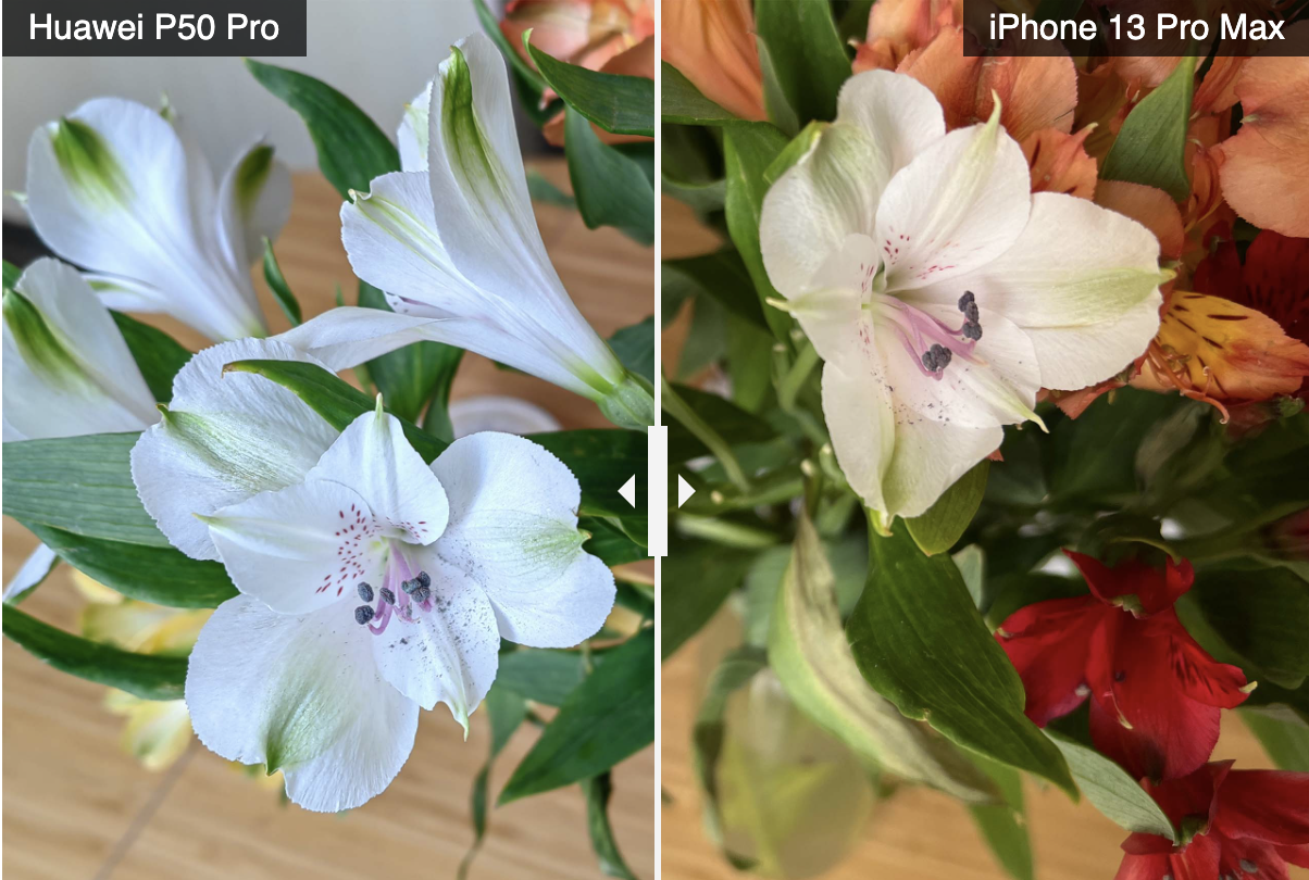 华为 P50 Pro和iPhone 13 Pro Max拍照对比（哪款更适合拍照）