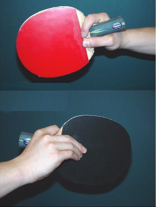 乒乓球拍怎么选购最好（手把手教您选择乒乓球拍和性能介绍）