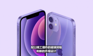 苹果12紫色手机真实图片